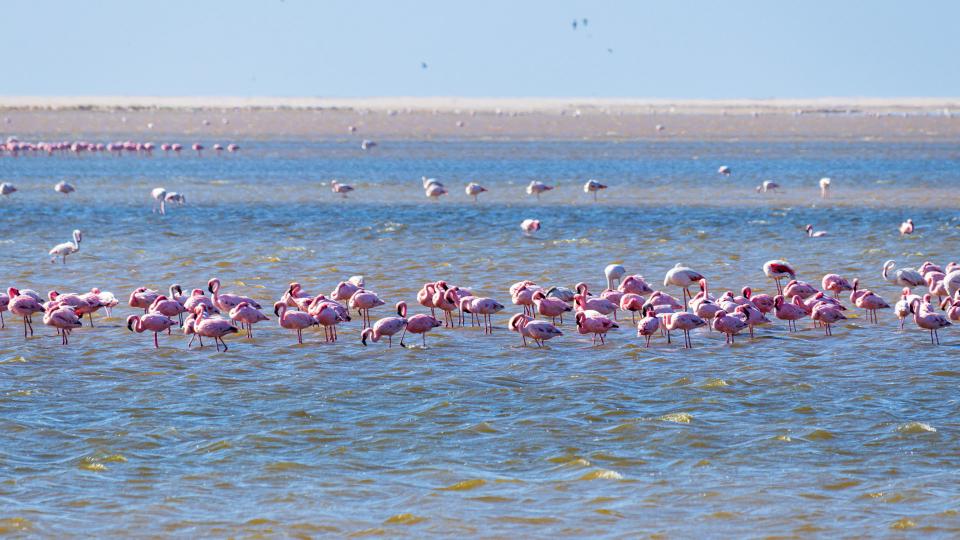 Applications for 2020 Intern Program Are Now Open