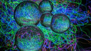 Newly certified instructors in May 2020