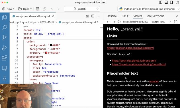 Tip - use Positron to choose colors for your project brand